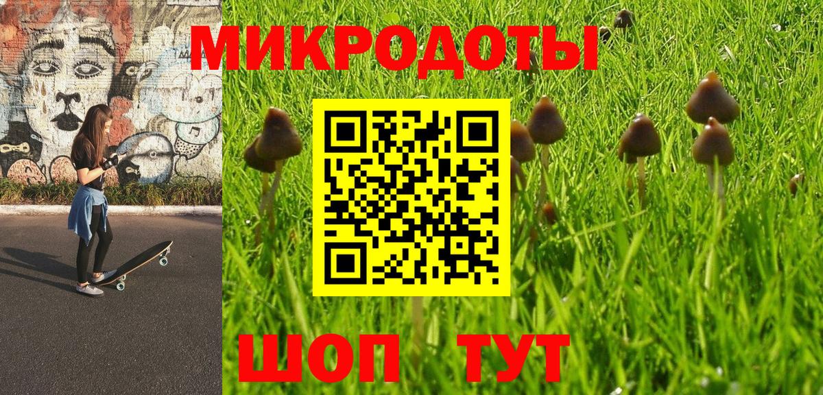 Чистополь  Псилоцибиновые грибы Psilocybe  Вход с VPN 